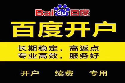知名SEM代运营公司案例解析